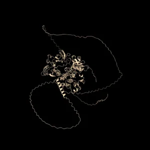 Alphafold 3 protein prediction on Dgx Spark